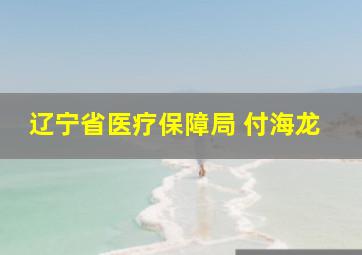 辽宁省医疗保障局 付海龙